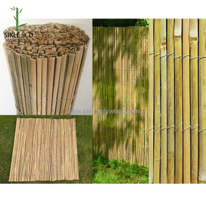 Halkaistu bambu-aita
