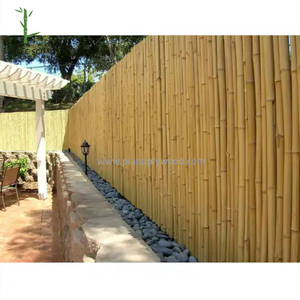 Bambu staket