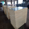 Digitus Joined film Faced Plywood