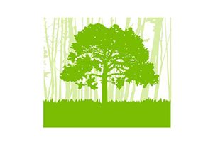Plan de restauración de tierras forestales y plantación de árboles