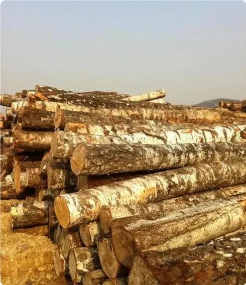 Aumento de los precios de los troncos en varios países