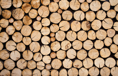 Jerman akan mengurangkan dengan ketara penuaian kayu konifer segar
