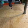 CDX plywood för golv
