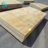 CDX plywood för väggskiva