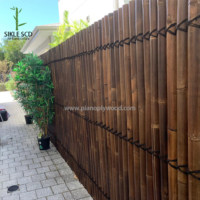 Pusė bambuko tvora