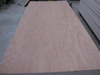 Karaniwang Bb/cc Grade Plywood
