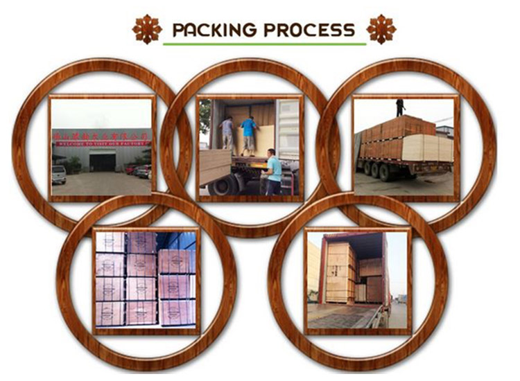 Packning & leverans