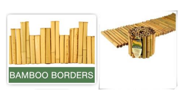 Bambusowe granice