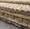 Kvaliteetne valge bambusest tara välistingimustes SIKEL SCD