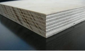 Compensato di legno duro di alta qualità (angiosperme o dicotiledoni)