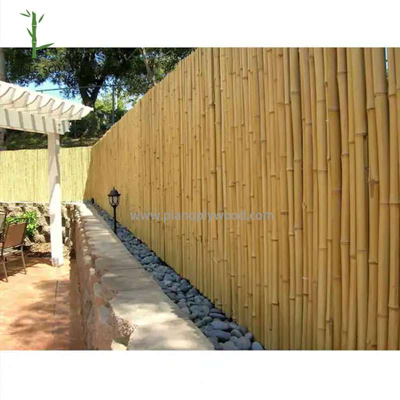 Бамбуковый забор
