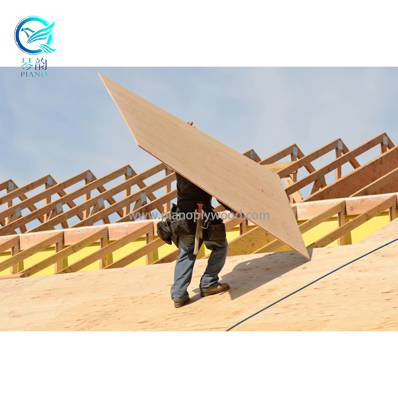CDX Plywood For Roof
