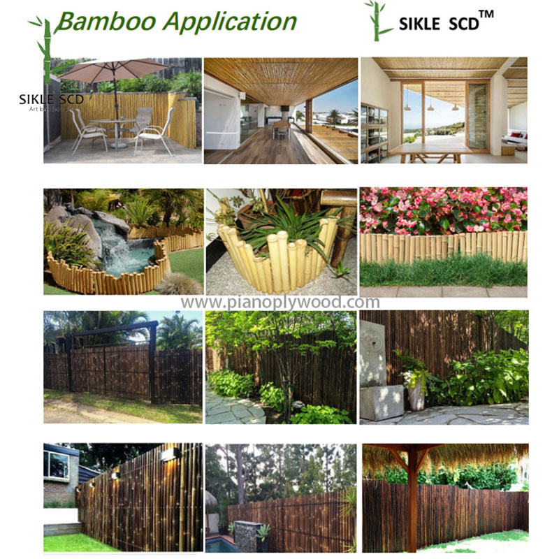 Bambu staket