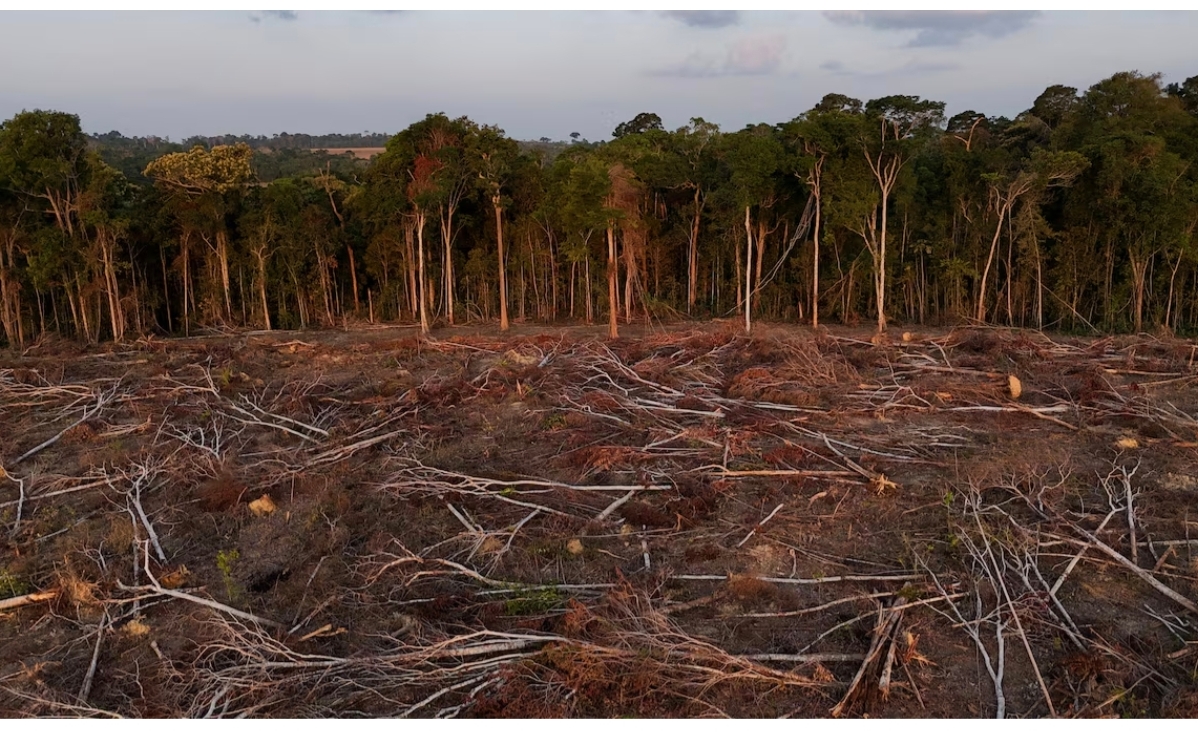 9d793d6bc90d4f83bf63800361e7f7d