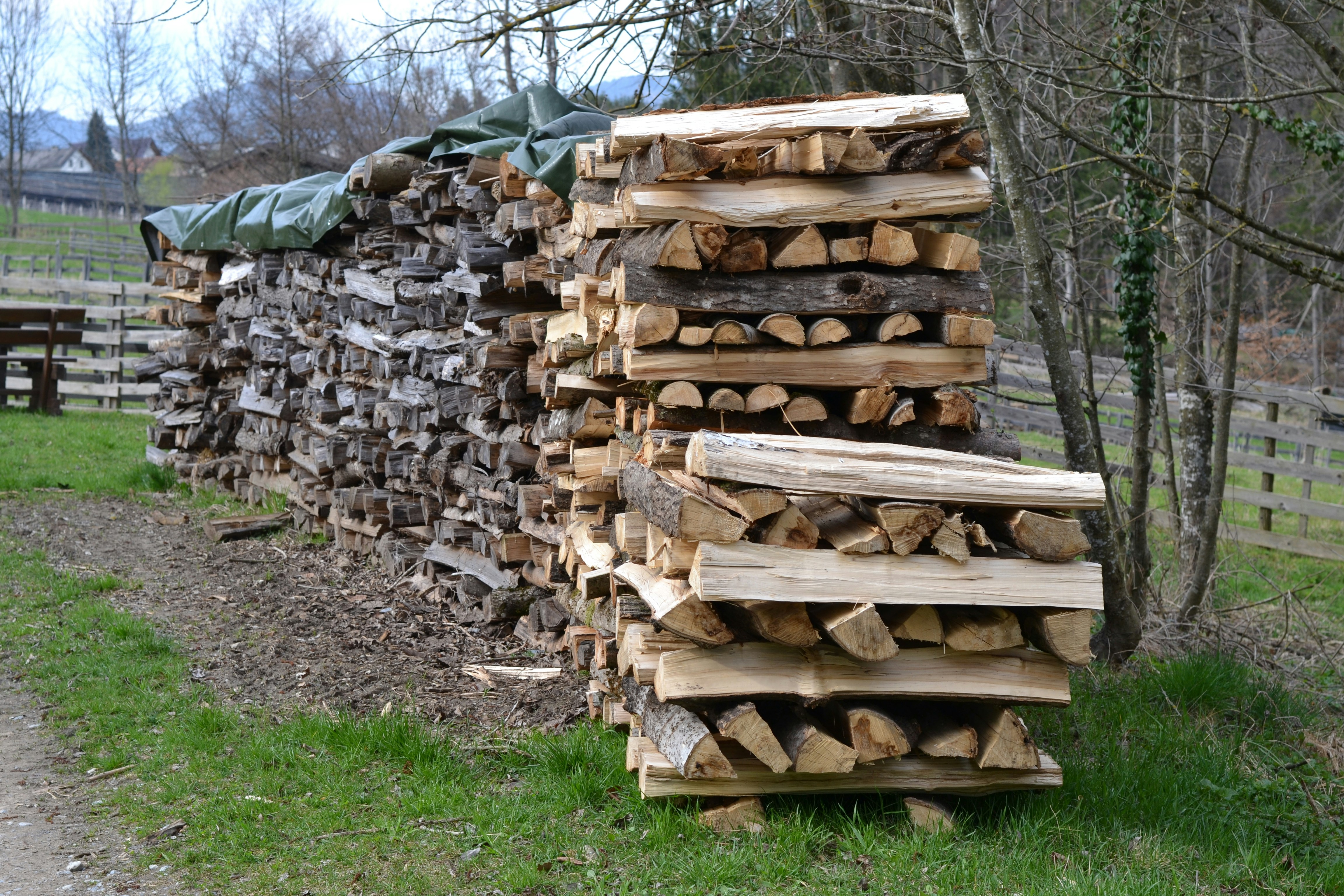 North American Lumber Market Weekly Review: Steady Demand Meets Price Pressure as Supply Dynamics Shift