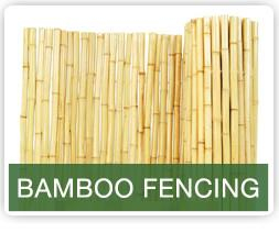 Bambus girðingar