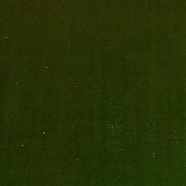 Sklejka fenolowa w kolorze zielonym