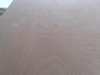 Karaniwang Overlay Grade Plywood